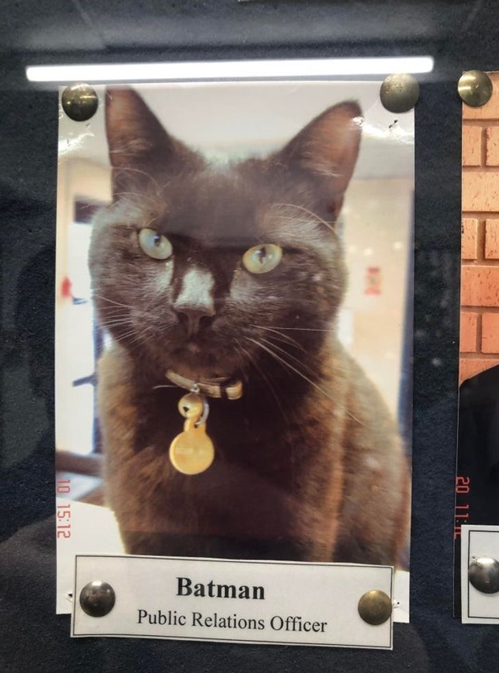 cd7b8a5b2d8d00040e1534848c