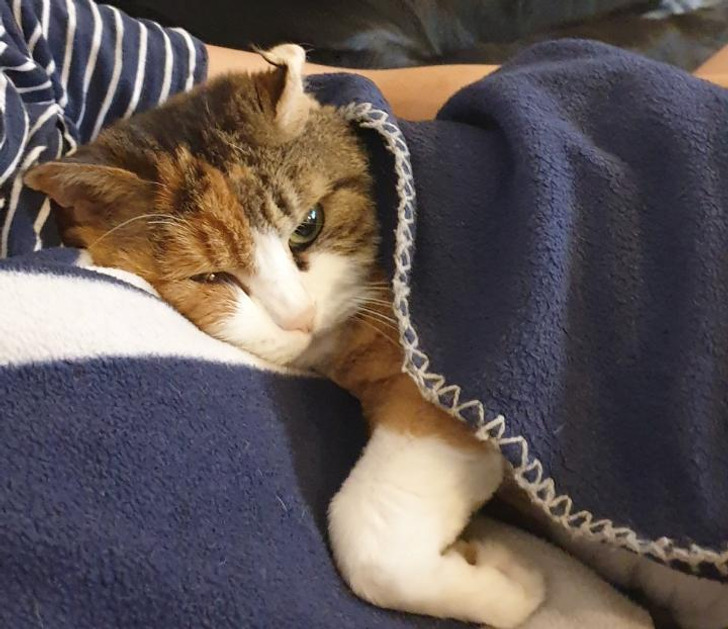 cd8bb7562b834d4e3723b86749