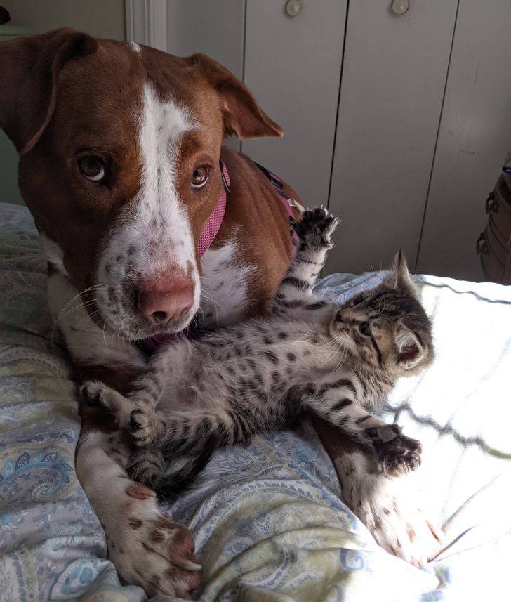 cd8c2956dea314416224c8ec82 cd8c2956dea314416224c8ec82