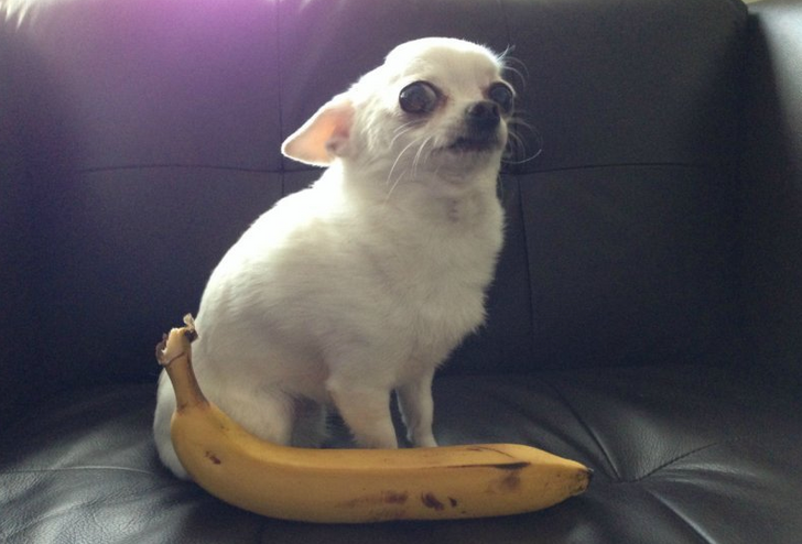 cd8cb550bea606f2940c8aded1