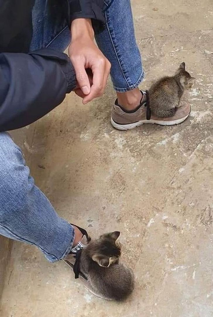 cd92875764a6bb8b4a85c57744