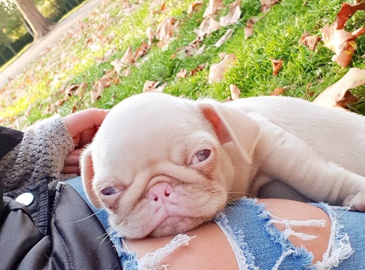 cd92e35e44a614bf6b0232ab53