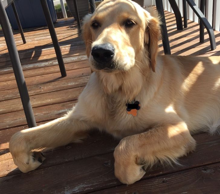 cd98af5ea593dd7200e790cc97 cd98af5ea593dd7200e790cc97