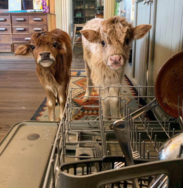 cd9af75017bc1d79a5517e5dd2