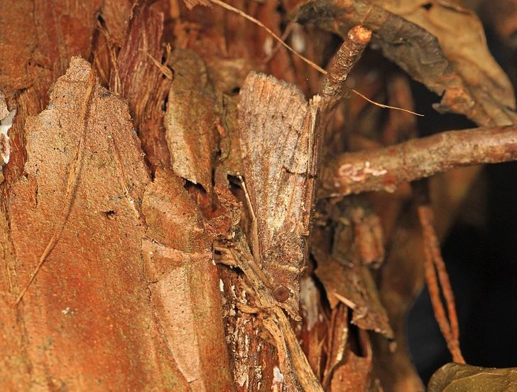 cd9e895e80b287086e675c94a9