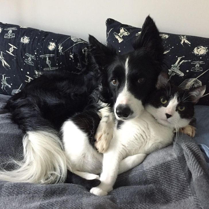 cda15051cf8e73154bcbf0e4b9