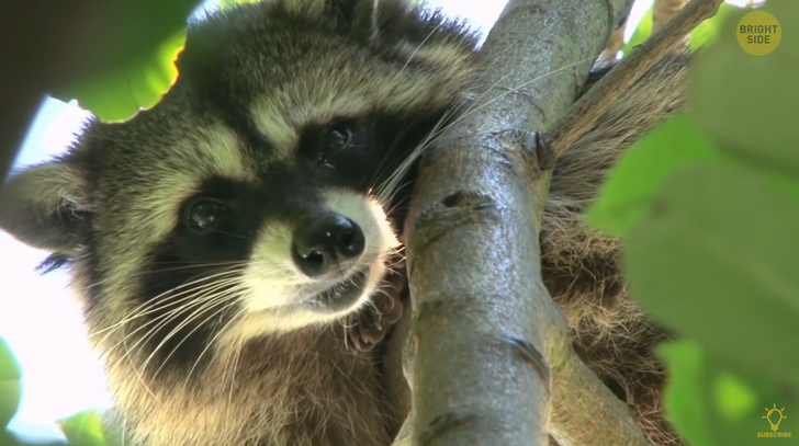 cdb0c75bc291f41a4006079f50