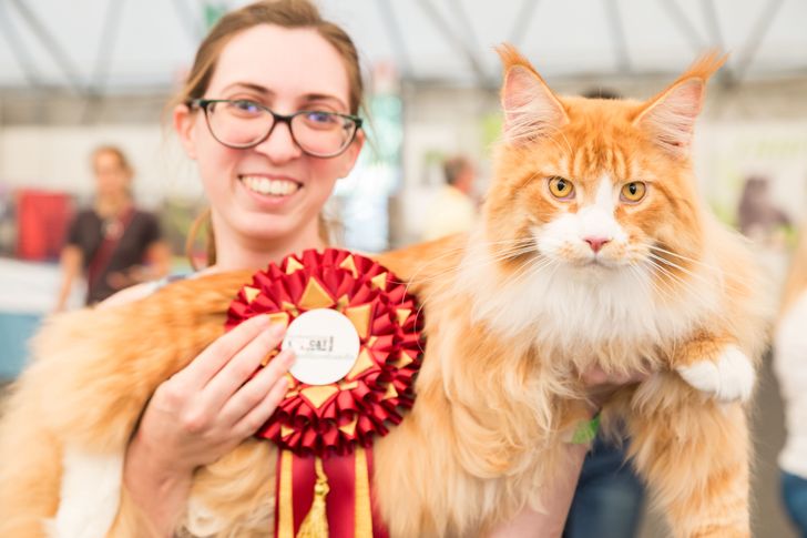 cdb3c85b729240e1a329179de3