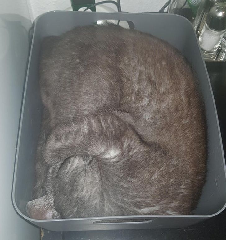 cdba7f5618903a86fa367c66e9