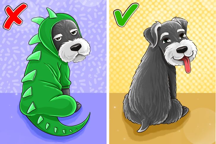 cdc06357ee85faa3485becda03