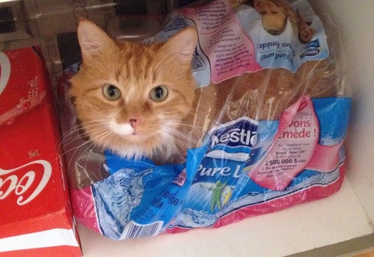 cdc9025e8c82e7b2c6886fe3dc