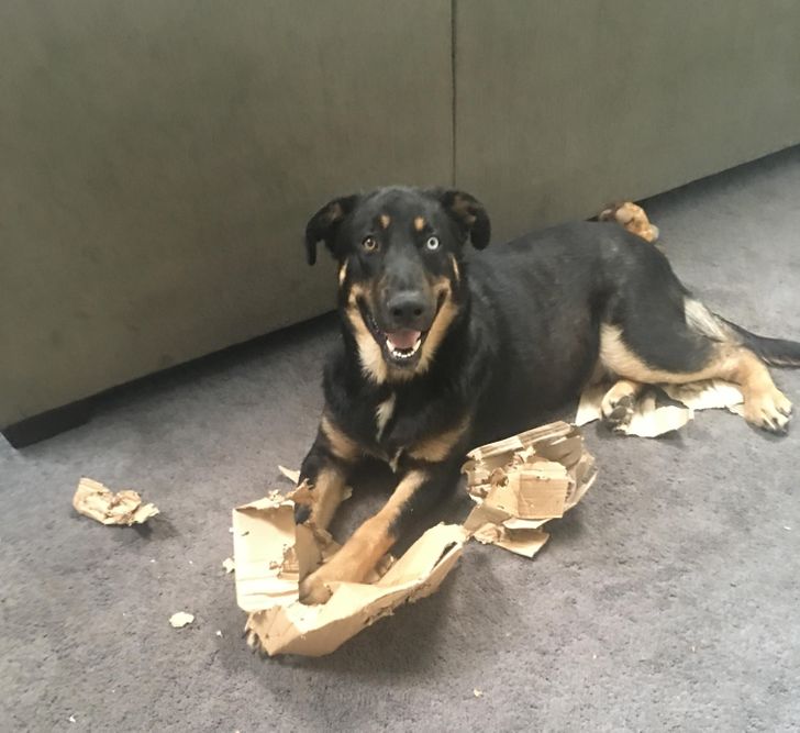 cdcb505857a551650f3d6637a0