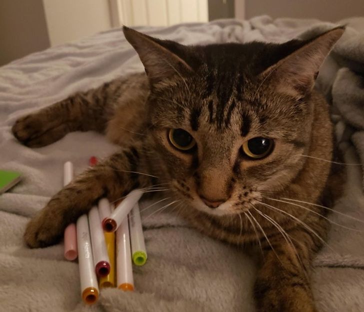 cdcd9156e491b01571d47e818d