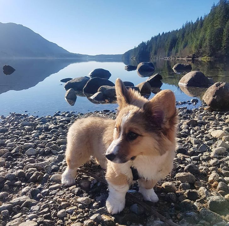 cddd1357e4a5ba93a0791d5b78