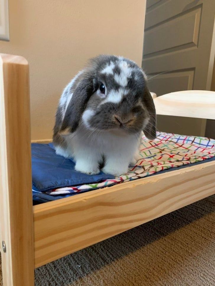 cdee805accb88eba99fcec886c