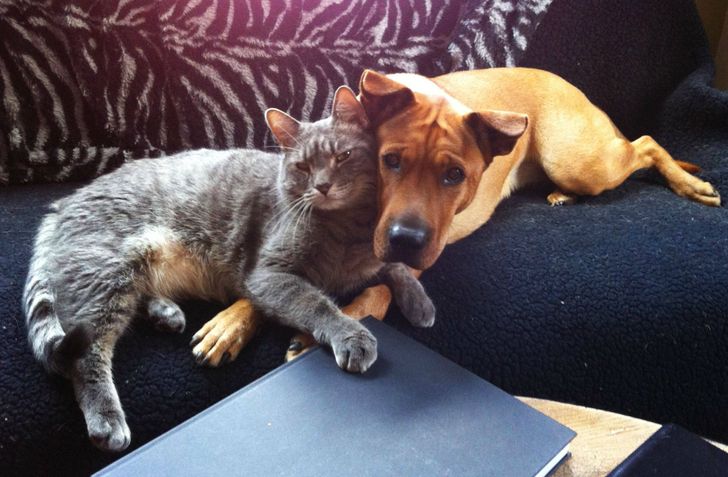 cdeecc56c891d1eb10cf2bc3e2