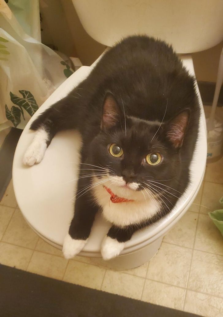 cdf4a45d62ac3b52e83feded6d