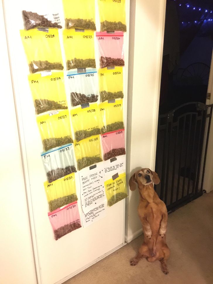 cdf4c859d0824d01a01c5bcfb4