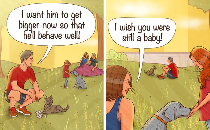 cdf55557738e6e9cca5852a925 cdf55557738e6e9cca5852a925