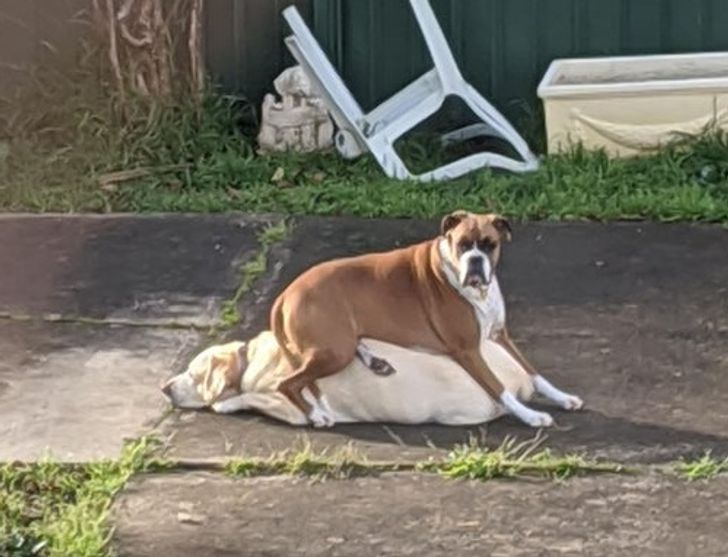 cdf84354efa235d0a3774b8d17