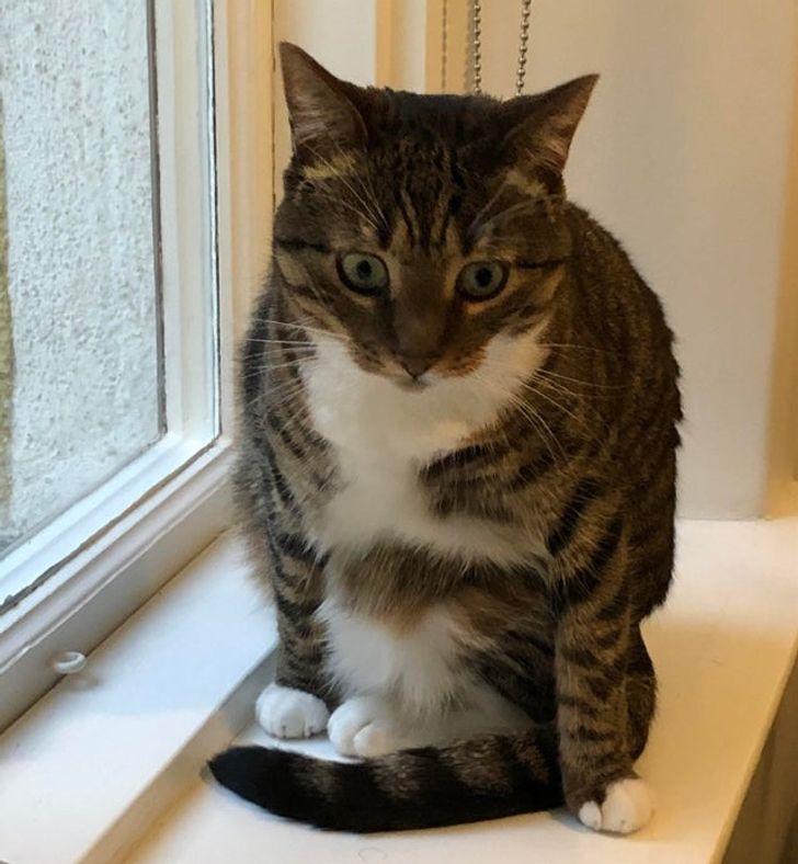 ce0c825643ae8da003fcc1013b