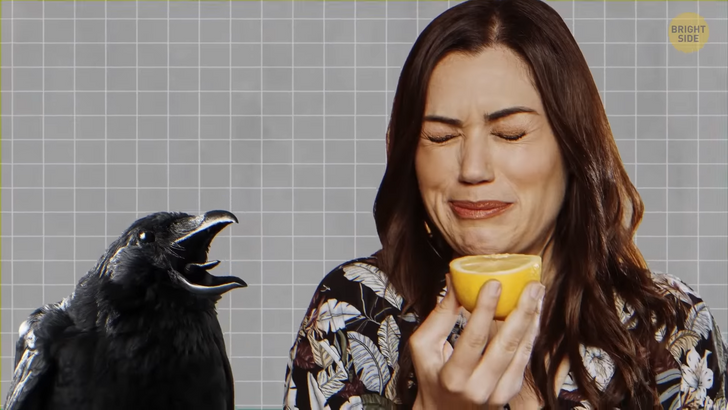 ce10e75643adbfa95e531d7492