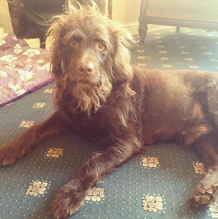 ce12465fc491ce7ad4098fe65f