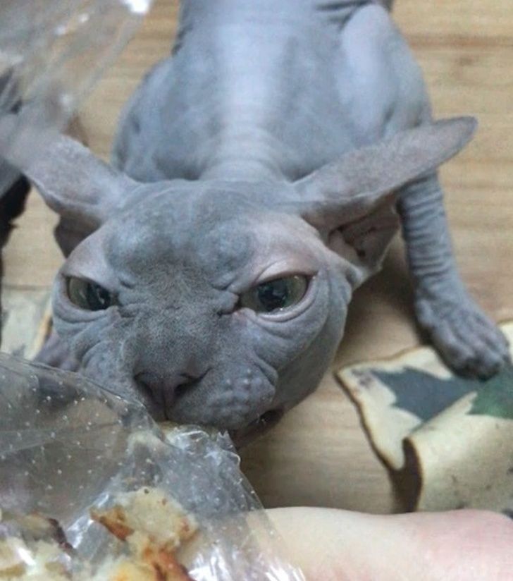 ce187d50d98e8331aecf3903cd-1