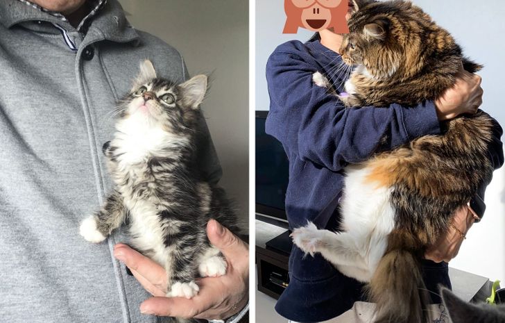 ce19a65e0d9e7cd94ae4b4ea3c