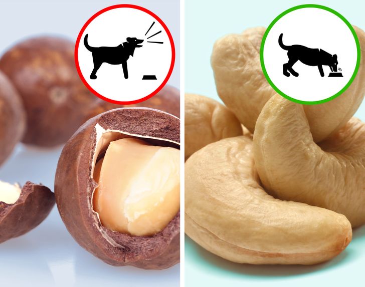 ce1b3f5dfabe17b9e529a00b29