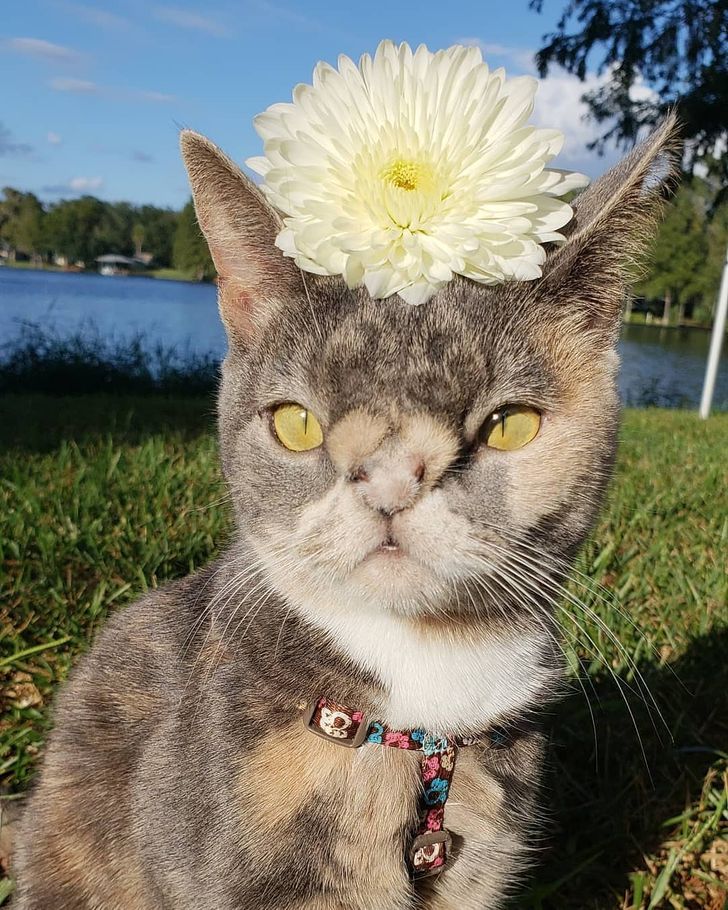 ce1b615ef6a7e34b7d245df237