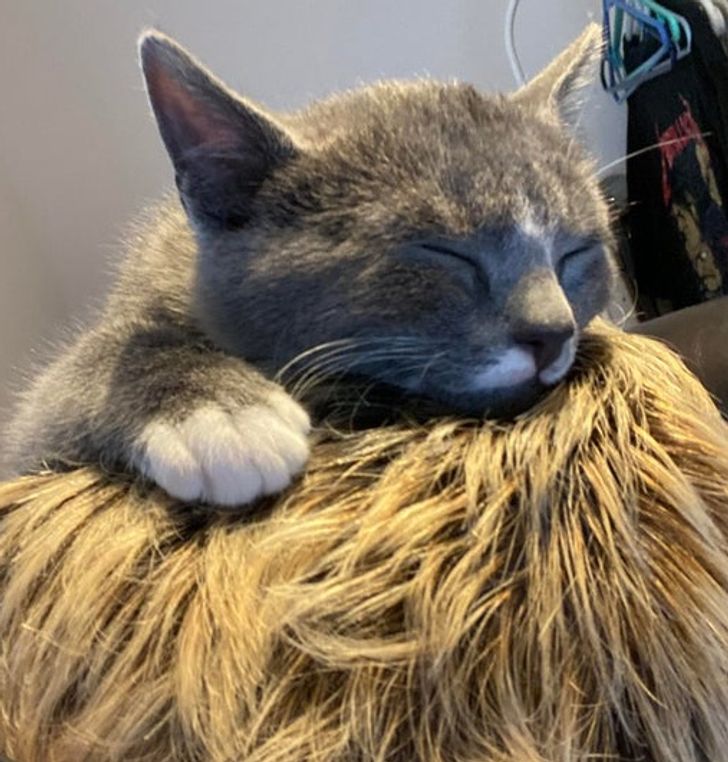 ce1c785d14944adf859740cf9b