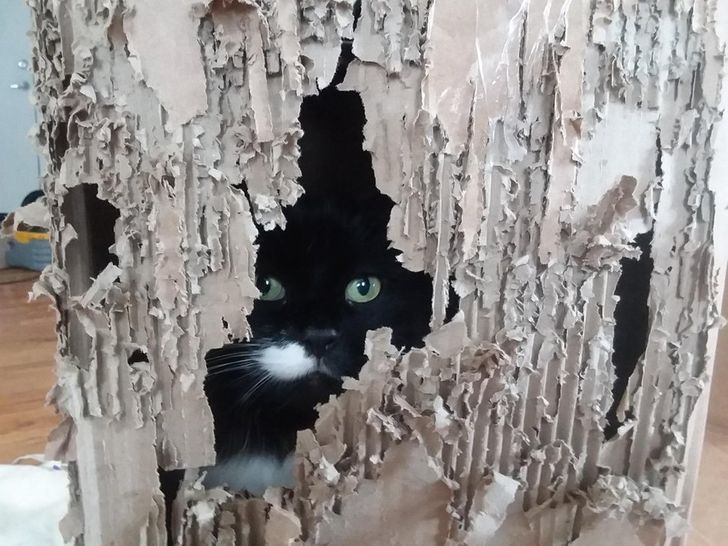 ce1cc85ce88610730947309de2