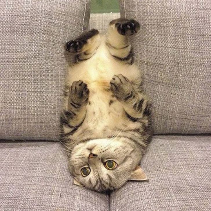 ce21705f3fab10c620719c095c