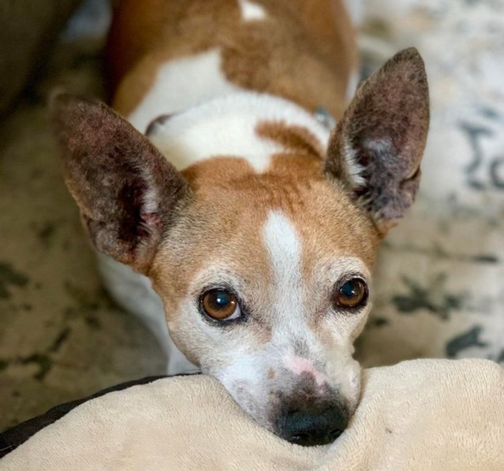 ce226b583db9e4519628c7db17