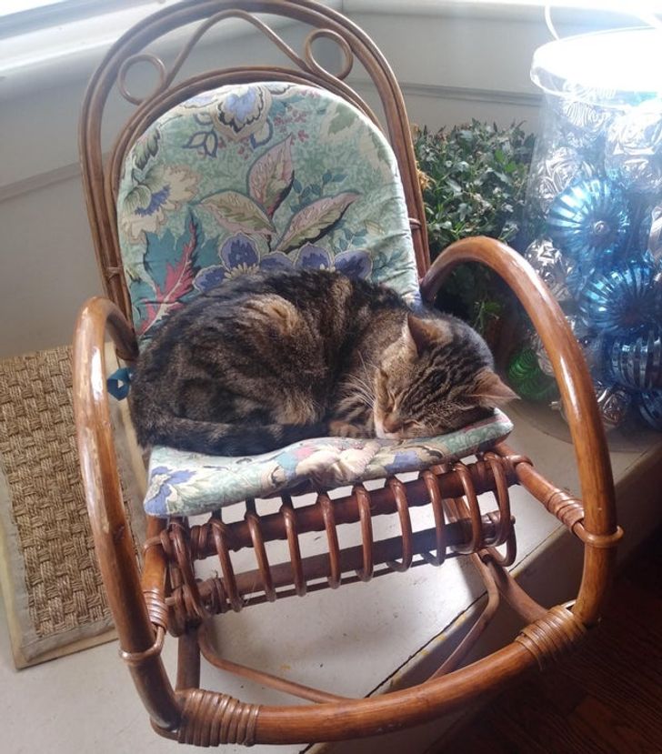 ce2a5857d79a6cf946d09ff377