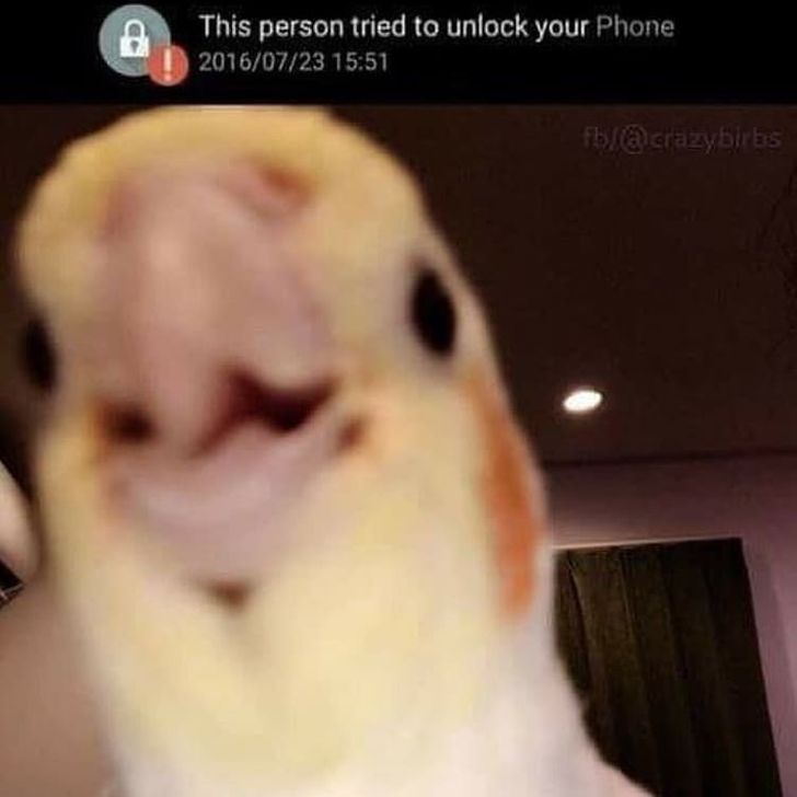 ce31005db28c25b183acef5d99 ce31005db28c25b183acef5d99