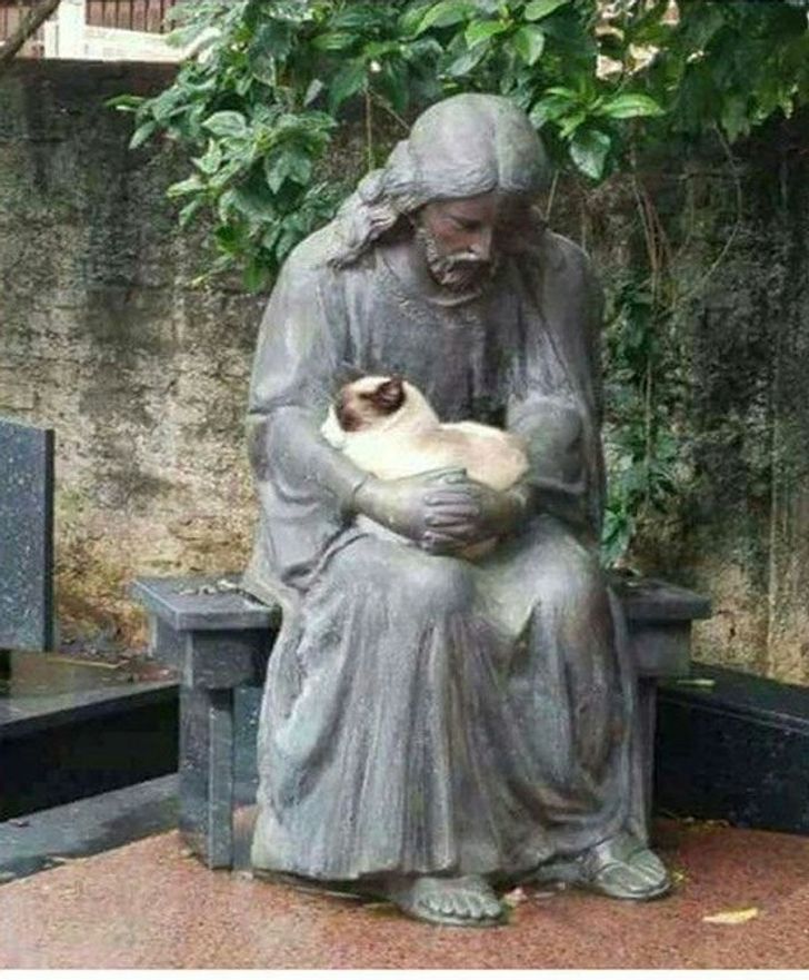 ce32e15bc085976fccd7bf0f92