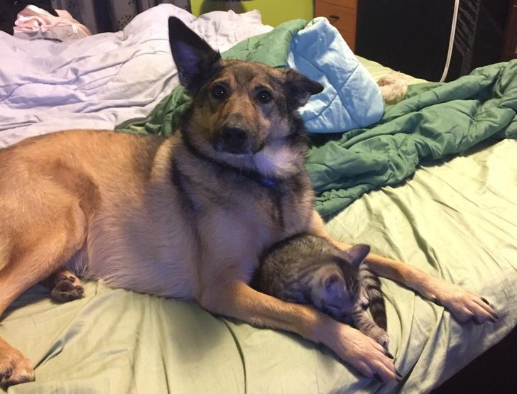 ce36895aa688e383c472809c88