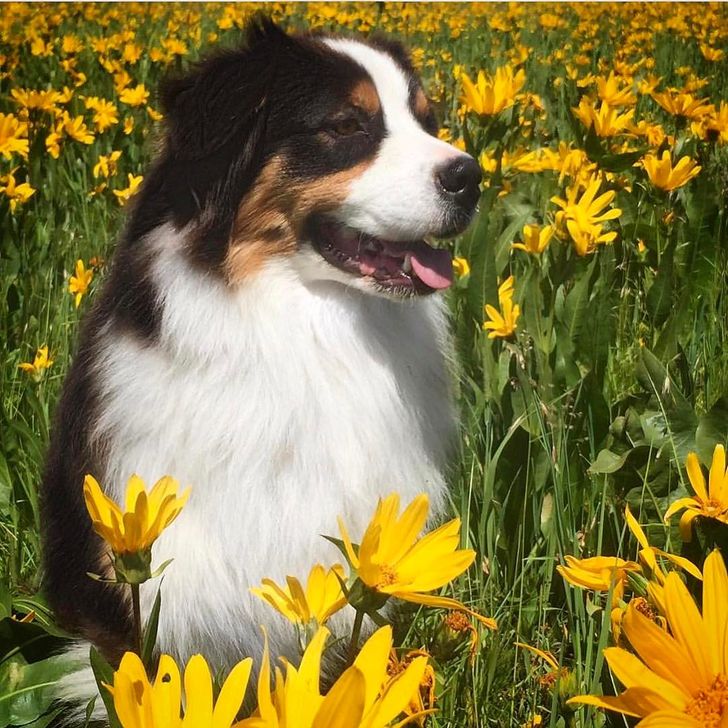 ce373f598bb9f7db312fcf1441