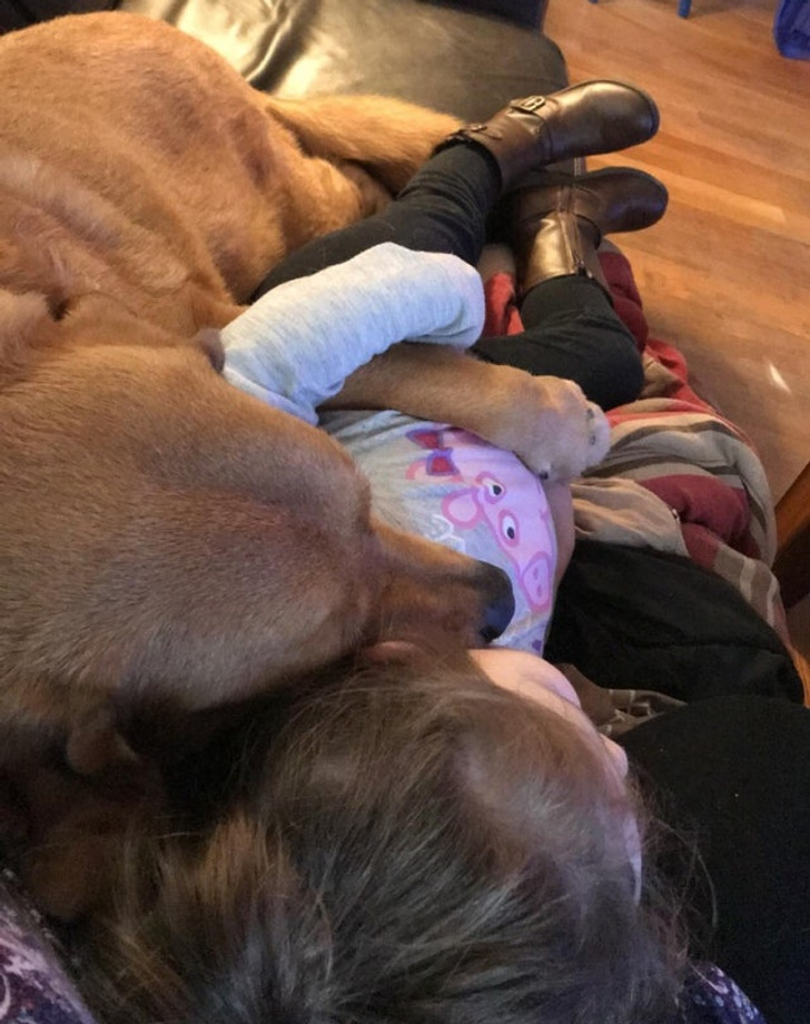 ce3f805785a892c28ff35dab44