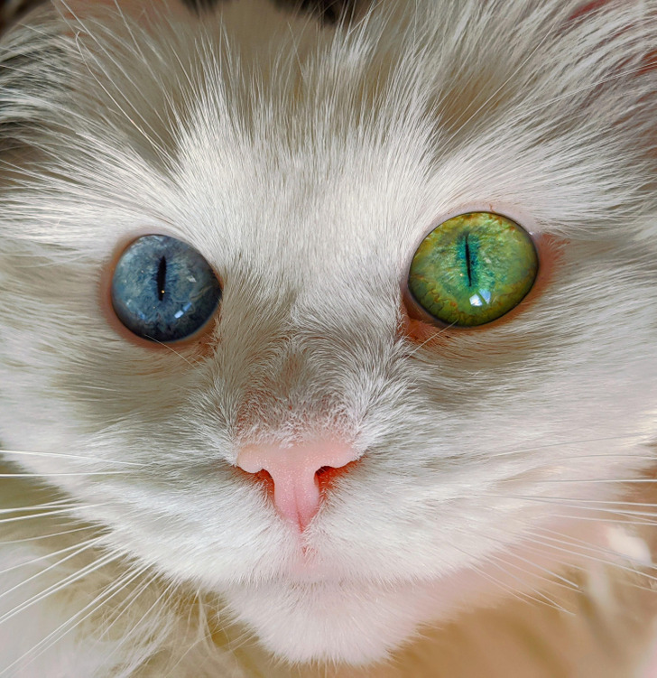 ce427953a3bb97fb5421725e2d ce427953a3bb97fb5421725e2d