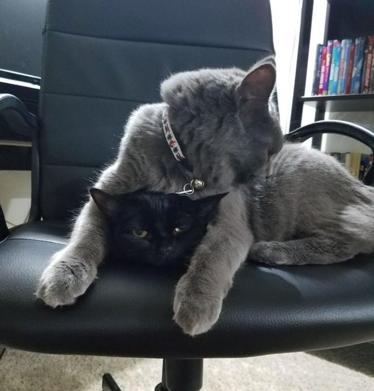 ce4395558bbcfa5098199ac816