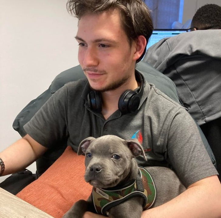 ce44fe5d899ccfc77131952c92 ce44fe5d899ccfc77131952c92