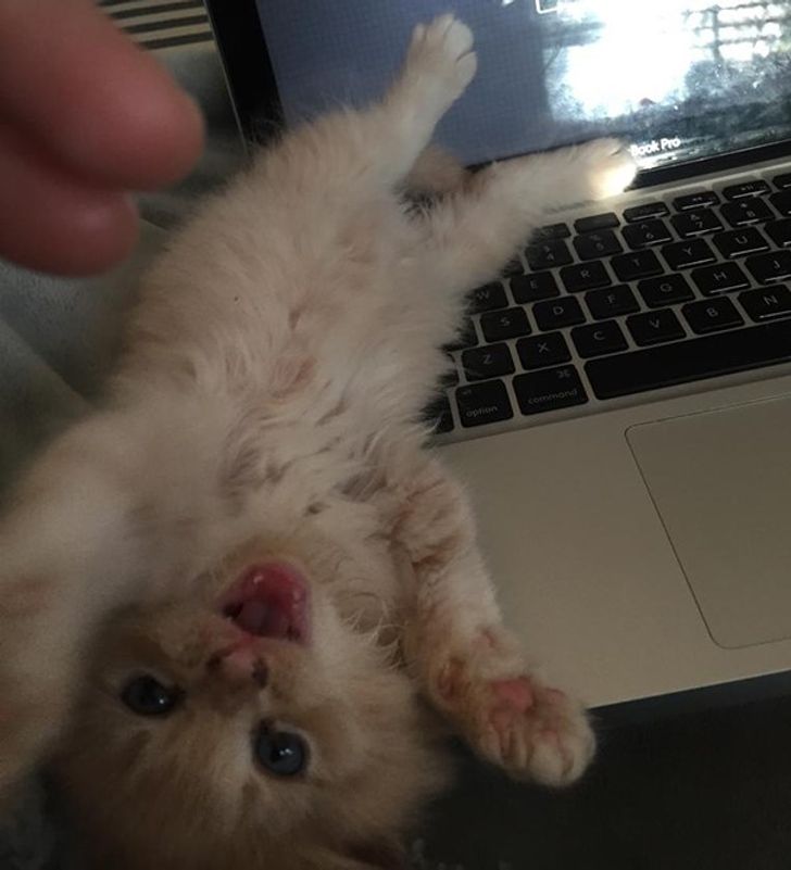 ce49f65836ba669d87625c706b