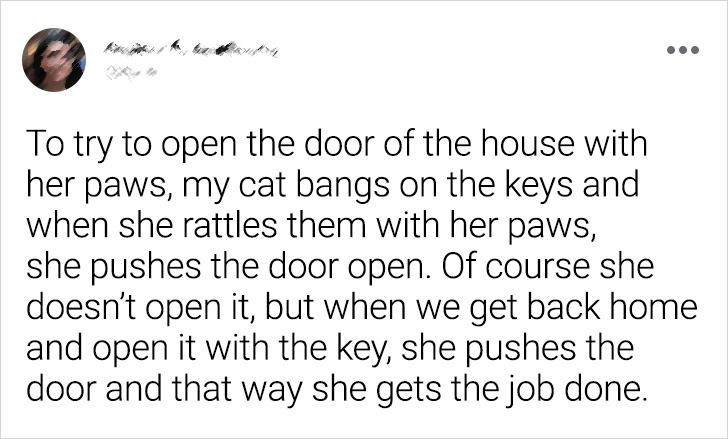 ce506c5d059ee785b63e112227