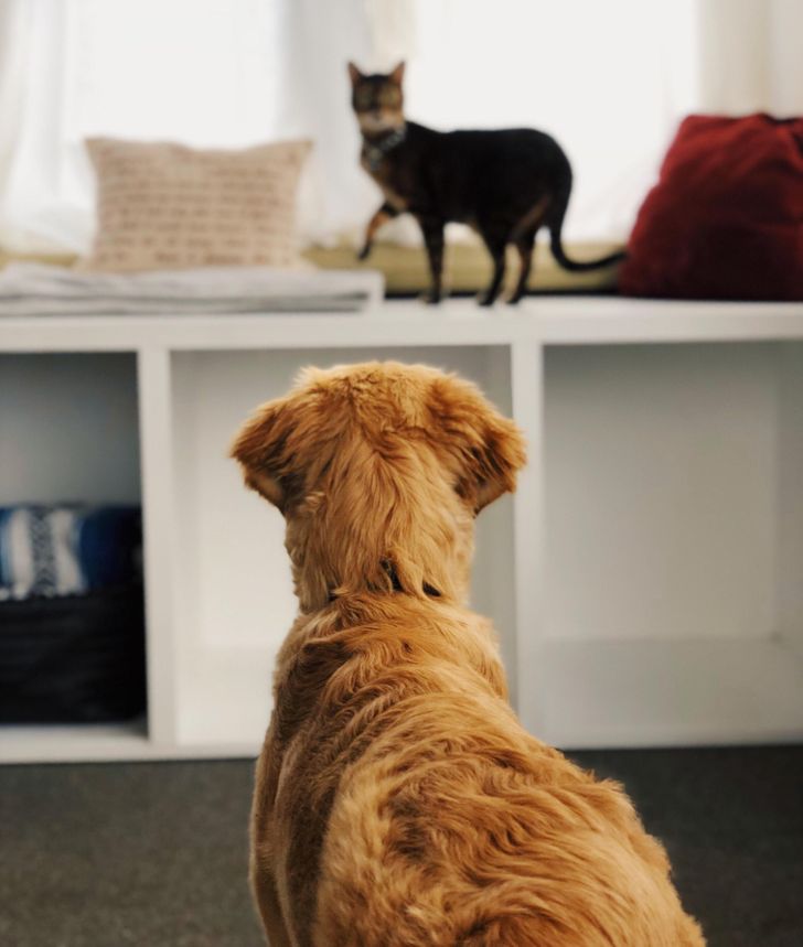 ce5084507e91ab9d6fad3b6bfe