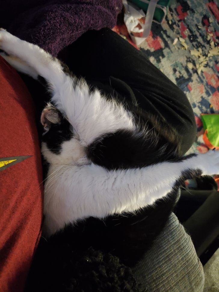 ce510858c6a86a2ff80cc1500c