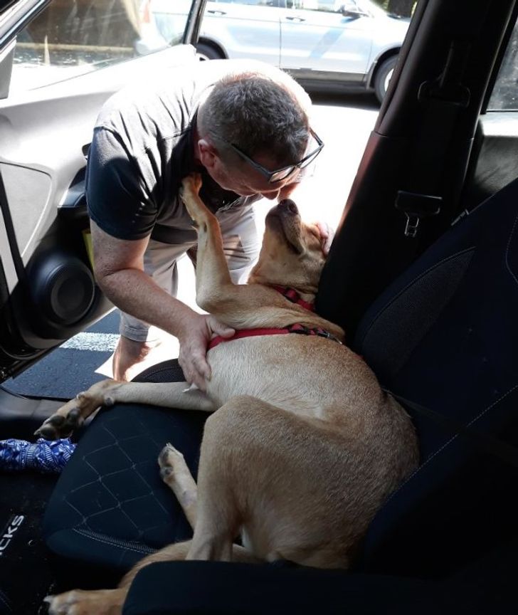 ce51b15c15b9291ea11fa3b181