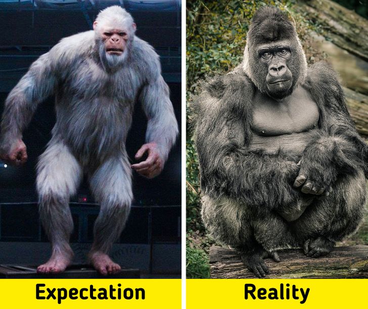 ce55445b54b7eed15ac7f760d7